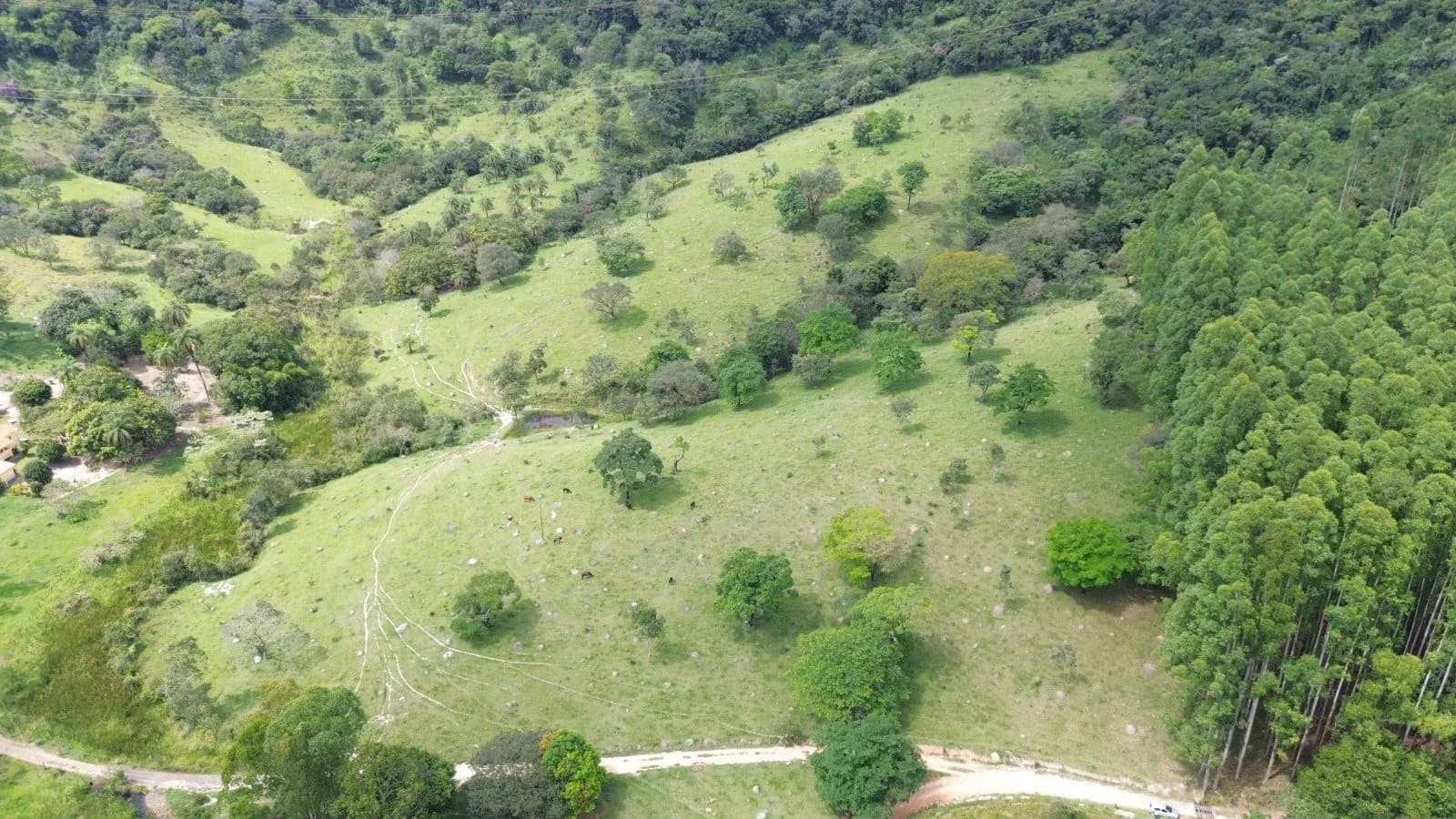 ÁREA COM 14 HECTARES COM ÓTIMA LOCALIZAÇÃO EM ITAÚNA, miniatura 5